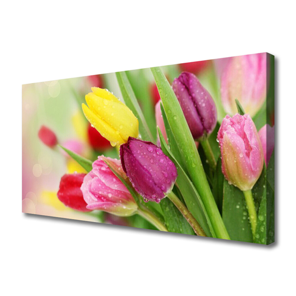 Obraz na plátně Tulipány Květiny Rostlina