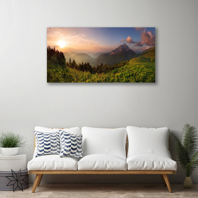 Obraz na plátně Hora Les Příroda
