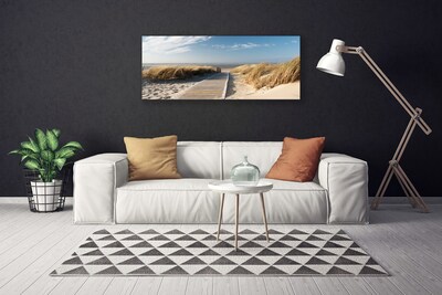 Obraz na plátně Pláž Stezka Krajina