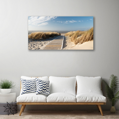 Obraz na plátně Pláž Stezka Krajina