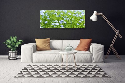 Obraz na plátně Květiny Tráva Rostlina Příroda