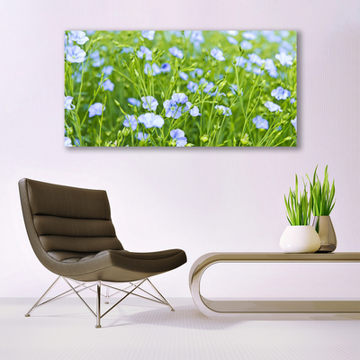 Obraz na plátně Květiny Tráva Rostlina Příroda