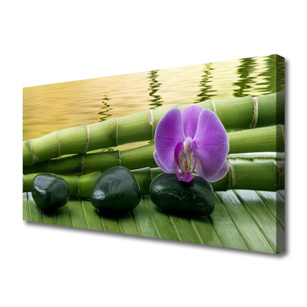 Obraz na plátně Květ Kameny Bambus Příroda