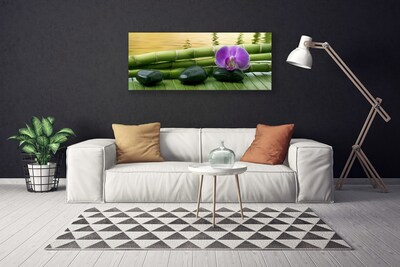 Obraz na plátně Květ Kameny Bambus Příroda