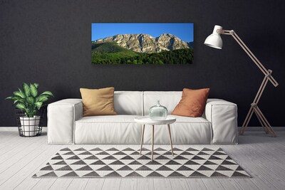 Obraz na plátně Hora Les Příroda