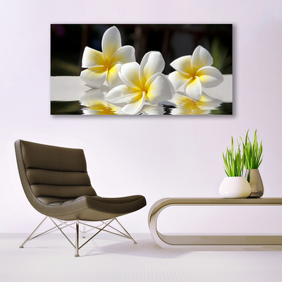 Obraz na plátně Květiny Rostlina Příroda