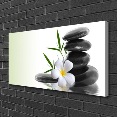 Obraz na plátně Květ Kameny Umění