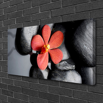 Obraz na plátně Květ Kameny Umění
