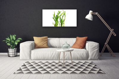 Obraz na plátně Bambus Stonek Květ Rostlina