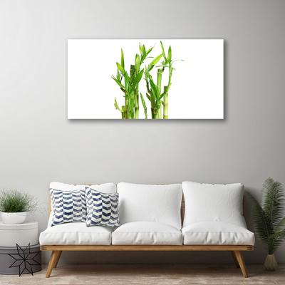 Obraz na plátně Bambus Stonek Květ Rostlina