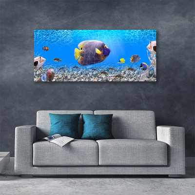 Obraz na plátně Ryba Příroda