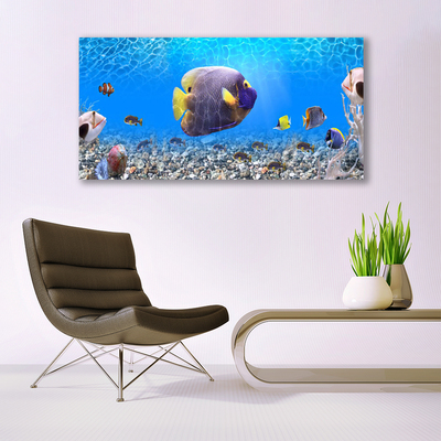 Obraz na plátně Ryba Příroda
