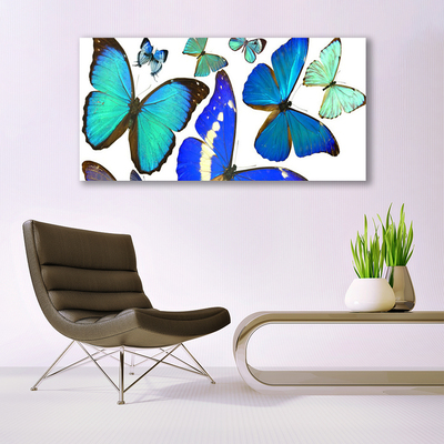 Obraz na plátně Motýli Příroda