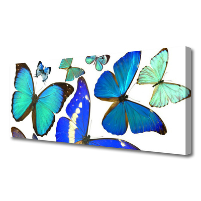 Obraz na plátně Motýli Příroda