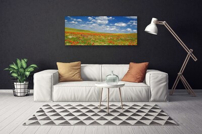 Obraz na plátně Louka Květiny Krajina