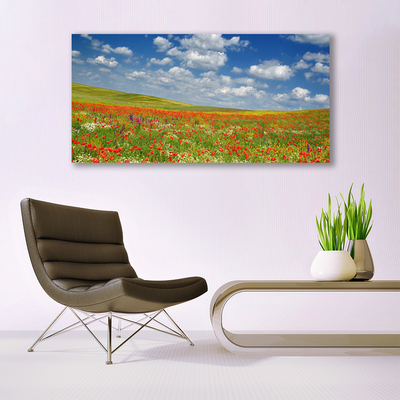 Obraz na plátně Louka Květiny Krajina