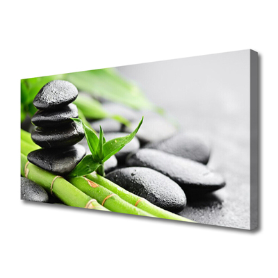 Obraz na plátně Bambus Kameny Rostlina
