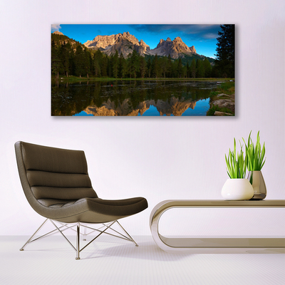 Obraz na plátně Les Jezero Krajina