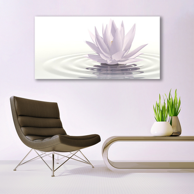 Obraz na plátně Květ Voda Umění