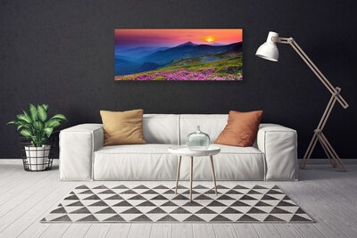 Obraz na plátně Hory Louka Květiny Krajina