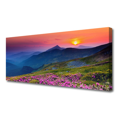 Obraz na plátně Hory Louka Květiny Krajina
