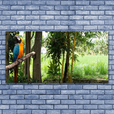 Obraz na plátně Papoušek Stromy Příroda