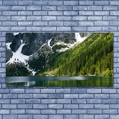 Obraz na plátně Jezero Les Hory Krajina