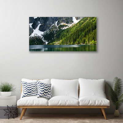 Obraz na plátně Jezero Les Hory Krajina
