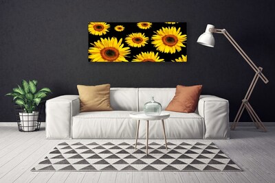 Obraz na plátně Slunečnice Rostlina Příroda
