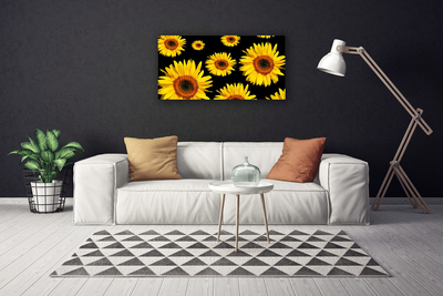 Obraz na plátně Slunečnice Rostlina Příroda