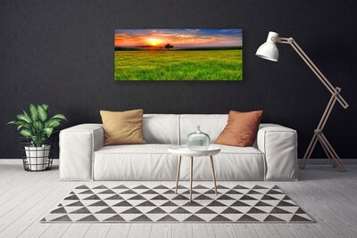 Obraz na plátně Louka Slunce Příroda