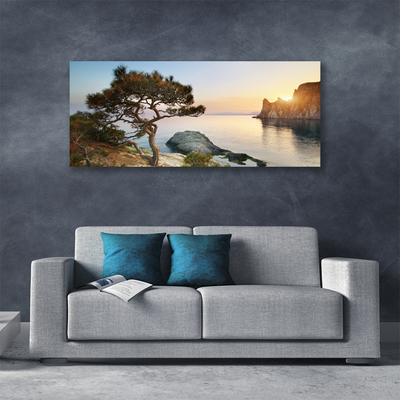 Obraz na plátně Jezero Strom Krajina