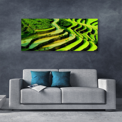 Obraz na plátně Pole Rýže Les Umění
