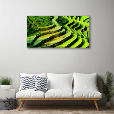 Obraz na plátně Pole Rýže Les Umění