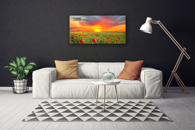Obraz na plátně Máky Slunce Rostlina Příroda