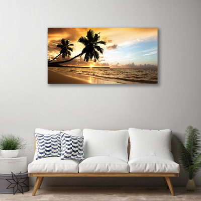 Obraz na plátně Palma Stromy Pláž Krajina