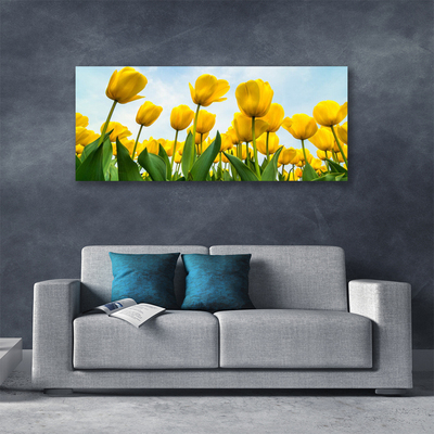 Obraz na plátně Tulipány Květiny Rostlina