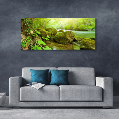 Obraz na plátně Jezero Kameny Příroda
