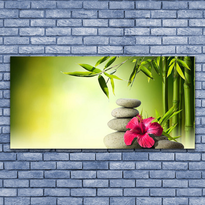 Obraz na plátně Bambus Květ Kameny Zen