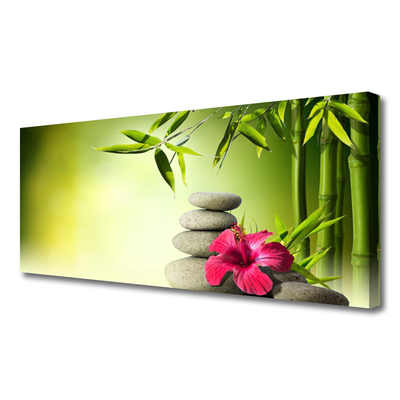 Obraz na plátně Bambus Květ Kameny Zen