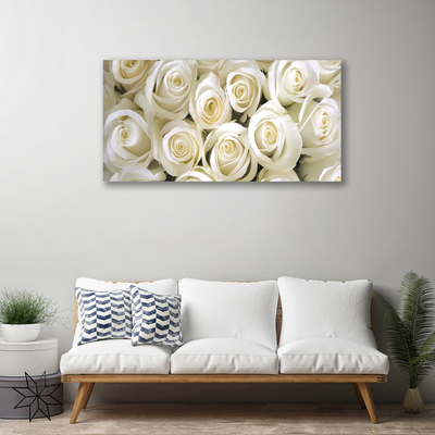 Obraz na plátně Růže Květiny Rostlina