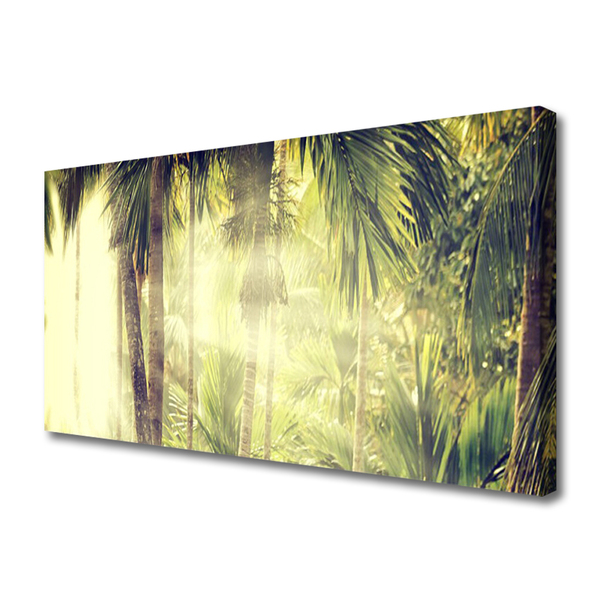 Obraz na plátně Les Palmy Stromy Příroda