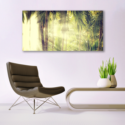 Obraz na plátně Les Palmy Stromy Příroda