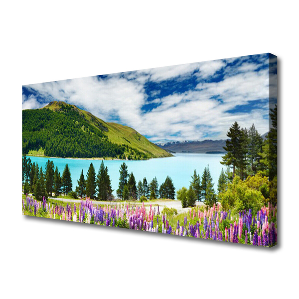 Obraz na plátně Hora Les Jezero Krajina