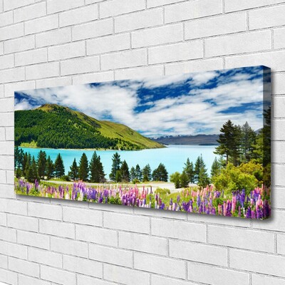 Obraz na plátně Hora Les Jezero Krajina
