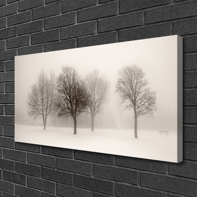 Obraz na plátně Sníh Stromy Krajina