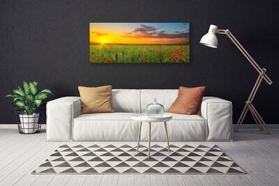 Obraz na plátně Slunce Louka Květiny Příroda