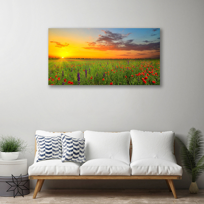Obraz na plátně Slunce Louka Květiny Příroda