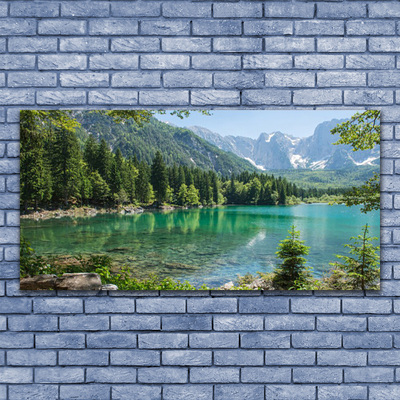 Obraz na plátně Hory Jezero Les Příroda