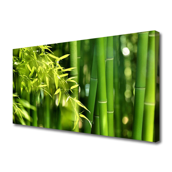 Obraz na plátně Bambus Listy Rostlina